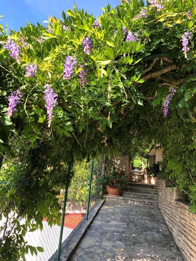 Appartamento Goga