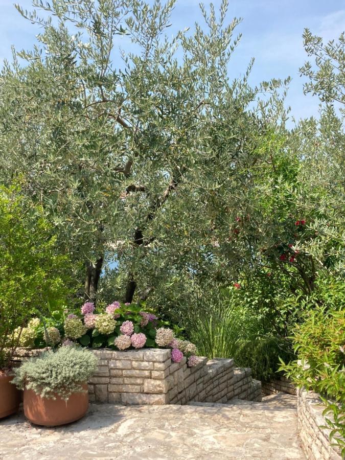 Goga Appartamento *