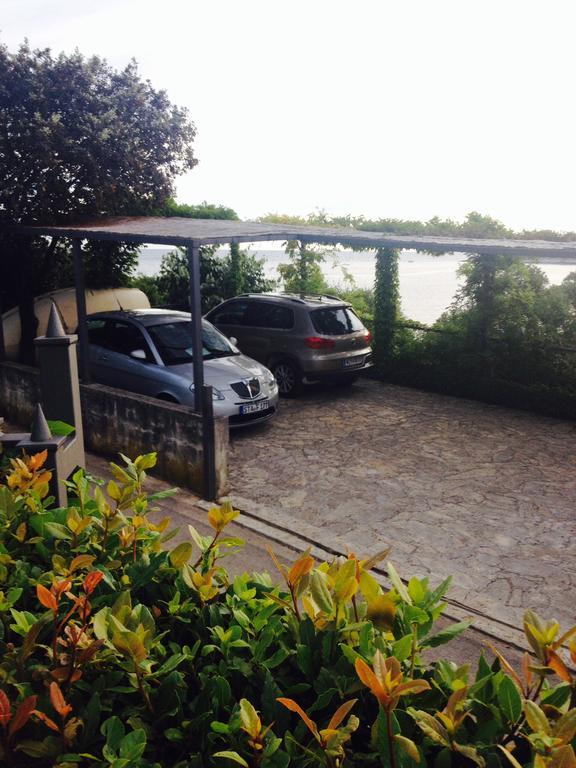 Goga Pola